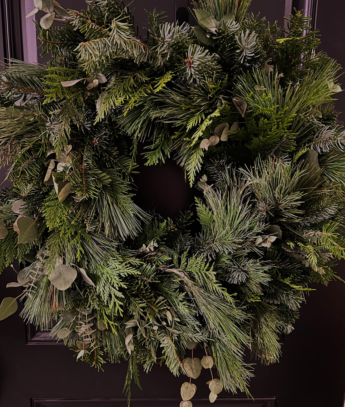 Evergreen Eucalyptus