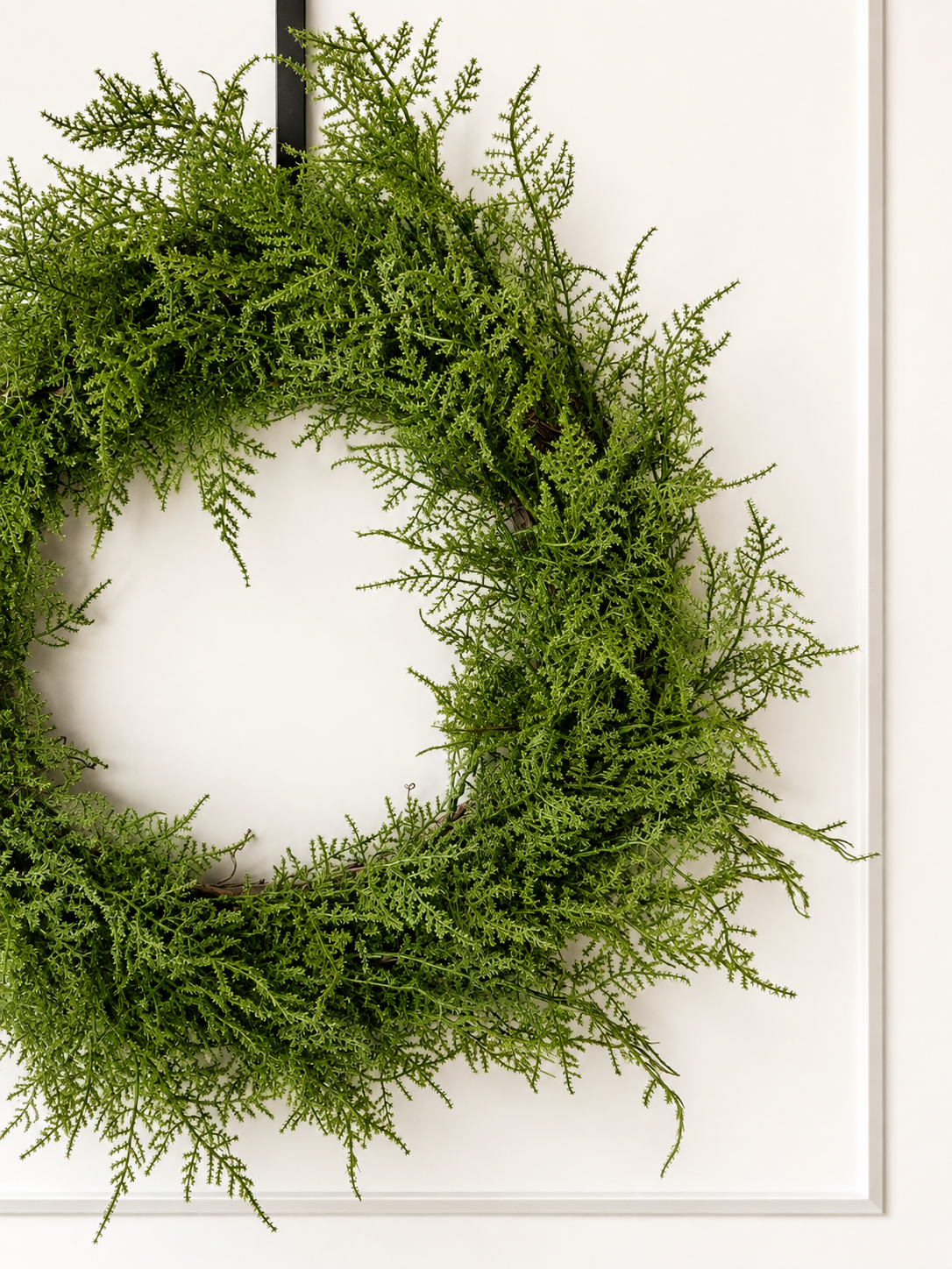 Wild Fern