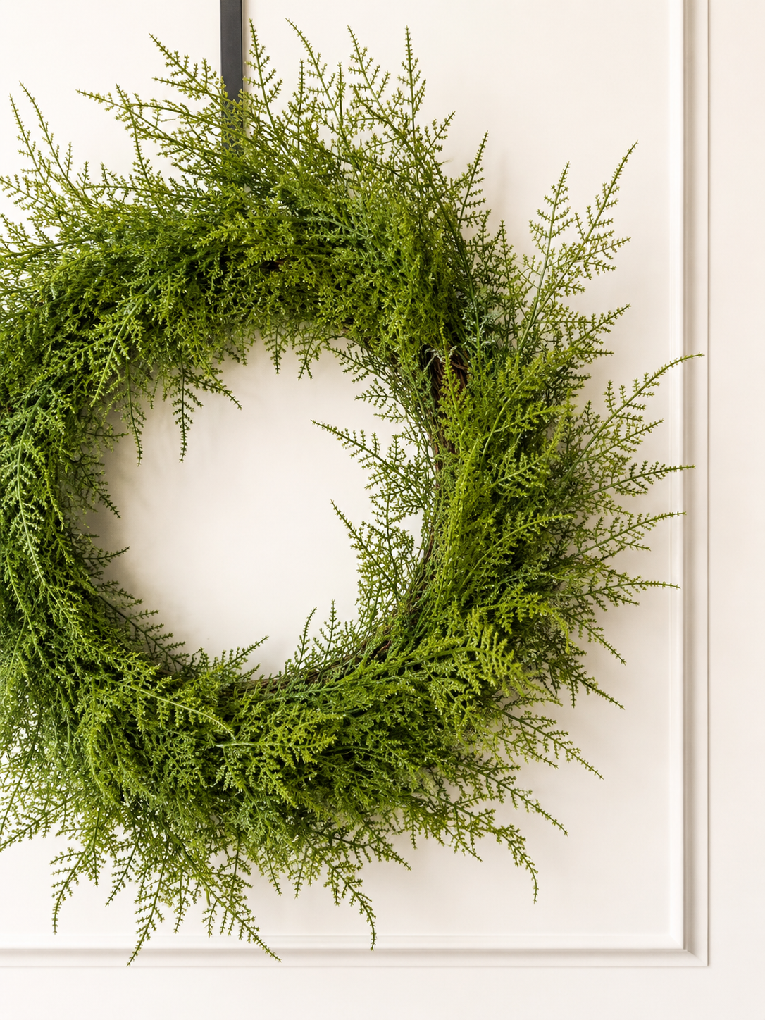 Wild Fern
