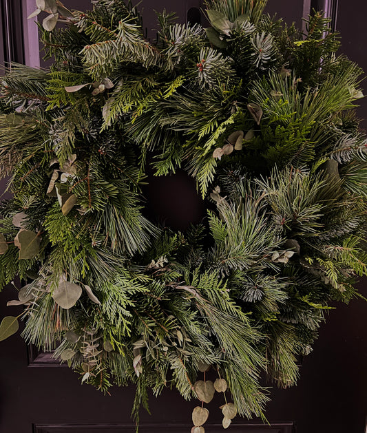 Evergreen Eucalyptus