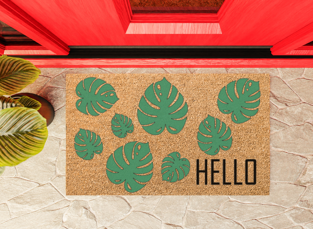 Monstera Hello
