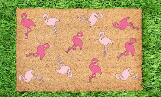Flamingos