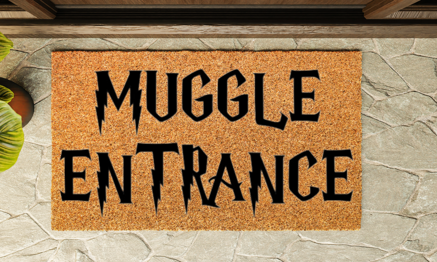 Muggle Entrance